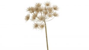 Interliving BEST BUDDYS! Dekozweig Bärenklau