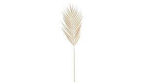Interliving BEST BUDDYS! Dekozweig Palme