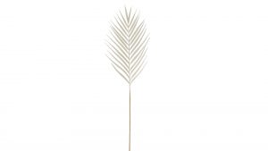 Interliving BEST BUDDYS! Dekozweig Palme