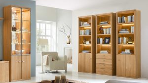 Varianta Schrank-Kombination
