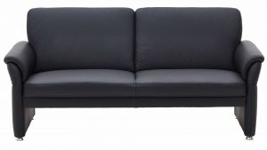 Leder-Dreisitzer