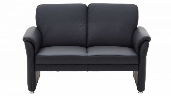Leder-Zweisitzer