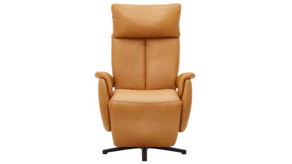 Leder-Relaxsessel