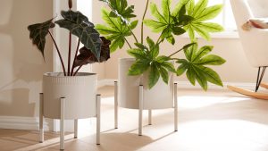 Interliving BEST BUDDYS! Pflanztopf-Set Tamina