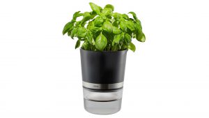 Interliving BEST BUDDYS! Kräutertopf Botanico