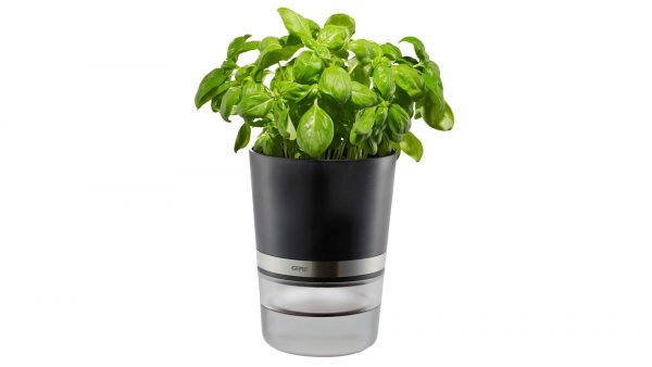 Interliving BEST BUDDYS! Kräutertopf Botanico