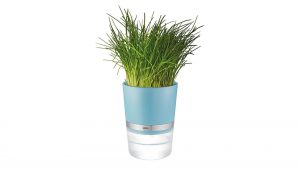 Interliving BEST BUDDYS! Kräutertopf Botanico