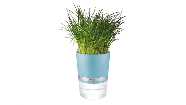 Interliving BEST BUDDYS! Kräutertopf Botanico