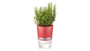 Interliving BEST BUDDYS! Kräutertopf Botanico