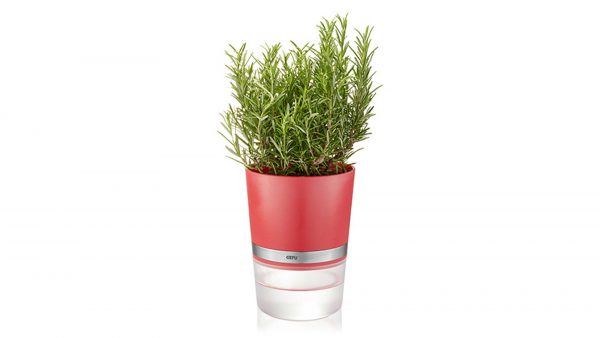 Interliving BEST BUDDYS! Kräutertopf Botanico