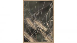 Interliving BEST BUDDYS! Kunstdruck Mellow Grasses 2