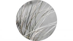 Interliving BEST BUDDYS! Kunstdruck Mellow Grasses 1