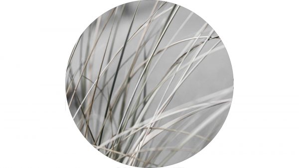 Interliving BEST BUDDYS! Kunstdruck Mellow Grasses 1