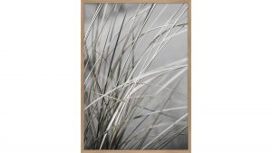 Interliving BEST BUDDYS! Posterdruck Mellow Grasses 1