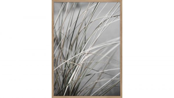 Interliving BEST BUDDYS! Posterdruck Mellow Grasses 1