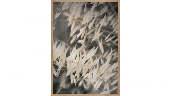 Interliving BEST BUDDYS! Posterdruck Mellow Grasses 4