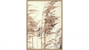 Interliving BEST BUDDYS! Posterdruck Reed 1