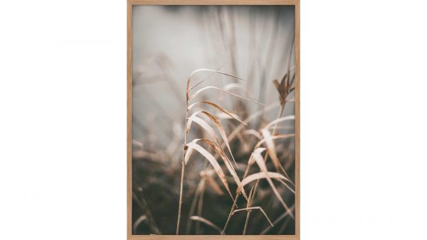 Interliving BEST BUDDYS! Posterdruck Reed 2